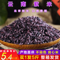 5 catties box purple rice new rice Yunnan specialty old variety purple glutinous rice blood glutinous rice black rice glutinous rice whole grains