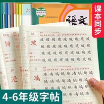 si wu liu nian level grade under the Chinese 2020 Pep-school copybook children regular script practice writing miao hong xie zi ben synchronization textbook vocabulary hard-Pen Calligraphy copybook this full set