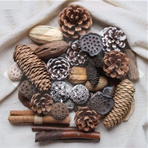 Dried flower with pole pine cone pine nut shooting props dry pine cone decoration flower pine ball dried fruit decoration decoration