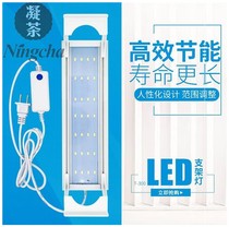 Cute insect explosion algae lamp Fish tank professional moss drying led full spectrum Goldfish special aquarium natural light out moss lamp