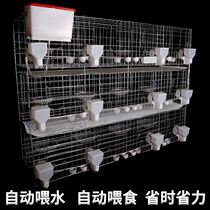 Pigeon cage breeding cage large outdoor pigeon matching cage bird cage breeding cage large Homing Pigeon Nest Nest pigeon cage household