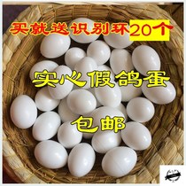 Sturdy solid white dove egg home non-infused hatching eggs fake pigeon eggs Fake Egg Fake Egg Thickened Practical Dove Egg