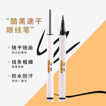Nameplate Diomaney Eye Line Pen Flagship Store Official Waterproof not Faint Lasting Fine Hair New Hands Beginners
