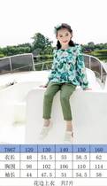 The pattern of meat dumplings T902 childrens lace long sleeve top pattern