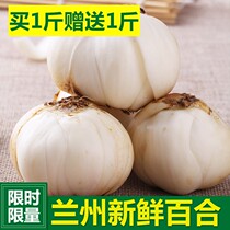 A copy of 2 catties Gansu Lanzhou fresh lily farmhouse Lily 16 a catty of non-Lily dried