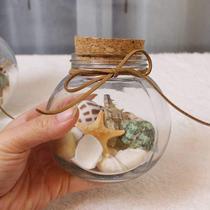 Create and put natural shell sea glass ocean drift bottle cork transparent beach sand conch Xu 1028 wish bottle glass jar star