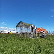 Camouflage camouflage net double-sided grass green hidden greenhouse reinforcement mountain shelter anti-aging rainwater camouflage net