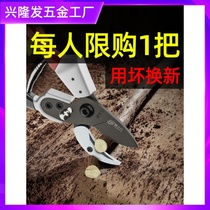 Special scissors for cutting branches Japanese imported grafting sk5 pruning shears big shears lengthy manual peach tree orchard artifact