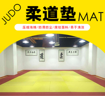 Judo Mat Competition Professional Training Wrestling Mat Tatami Martial Arts Sanda Somersault Gymnastics Mat Fight Jiu-jitsu Mat