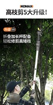 German import of fruit deities to pick fruit lychee dragon eye trim branches fruit tree scissors high branches cut