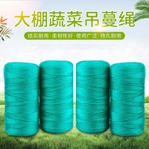Suspend rope greenhouse cucumber tomato vegetable hanging vine rope climbing net drawstring rope pull rope plastic wear-resistant nylon rope