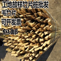 Measurement of bamboo piles ground insertion sites bamboo piles bamboo piles mapping fruit trees bamboo bamboo bamboo