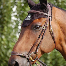 Belgium Dyon water leur equestrian water leur horse riding water leech obstacle race water reins horse riding cage
