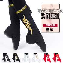 Dance boots female long tube Mongolian side Flower boots dancing practice shoes male Tibetan stage performance high-help jazz shoes