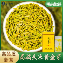 Wanwang love gold bud tea 2021 new tea Ming front head pick golden Bud White Tea Green Tea Tea canned