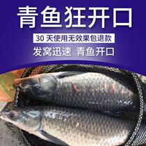  Fishing Small Medicine Large Green Fish Bait Snag Green Beat Nest Stock Additive Wild Fishing Black Pit Giant Special Black Anwan