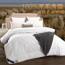 Waterstar Winter wool quilted by 100% pure wool winter quilted by 10 kg cotton by thickened warm double quilt winter cashmere
