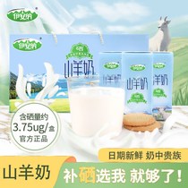  Ianna Ningxia Selenium-rich goat Milk 250ml*10 boxes gift box Adult elderly Children pregnant women breakfast goat milk