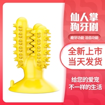 Cross-border Amazon hot-selling dog cactus toothbrush dog grinding teeth bar pet resistant gnawing bite toy