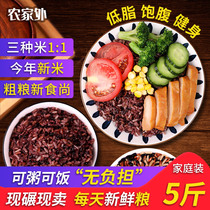 Three-color brown rice 5kg bagged farm low-fat brown rice black rice fitness fat reduction grains grains germ new rice