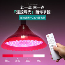 Remote control dimming and toning Fresh light Pork light Deli light Meat stand Supermarket deli special fruit light chandelier