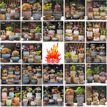 Animal pottery pots pottery pots succulents ceramic pots new simple frosted coarse pottery retro potted plants large medium and small
