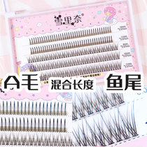 Snowinay False Eyelash Woman Natural hair single cluster false eyelash female natural simulation A mullet tail mix