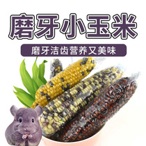 Pet Grindstone Small Corn Stick Hamster Dragon Cat Cereals Snacks Dutch Pork Grindstone Flowers Branches Golden Silk Bear Small Toys
