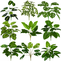 Simulation plant fake leaves green large turtle back indoor flower tank plastic green plant background wall landscape decoration
