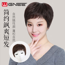 wignee send mother wig female short hair real hair silk middle-aged and elderly full headgear natural fluffy lifelike human hair Silk