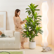 Simulation green plant Brazilian wood potted plant Nordic bionic fake tree plant Brazilian iron indoor living room floor decoration