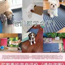 狗厕所大号大型犬冲水防踩屎宠物狗狗用品金毛便便神器尿盆新品
      狗厕所