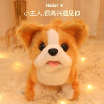 Toy dog walking can be called electric simulation plush machine Electronic Teddy puppy can run baby pet
