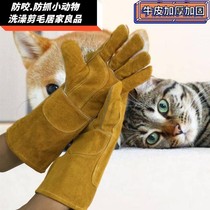 Pick pepper special gloves Cowhide anti-dog bite training dog Pet anti-bite tease cat squirrel Hedgehog thickened welding gloves