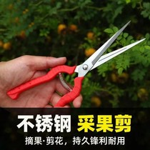 Pick pepper special scissors Gardening pruning branches Fruit picking scissors Fruit picking scissors Pepper cutting wolfberry fruit and vegetable scissors flower scissors