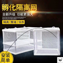  Fish tank isolation box protects small fry spawning fish Baby tiger seedlings Mini parrot fish small floating floating net