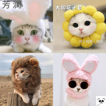  10 kinds of cat headgear Sun flower rabbit cute anti-bite anti-licking funny pet dog headgear hat birthday dress up