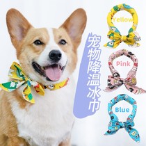 Summer cooling pet ice collar Corgi Shiba Inu ice scarf Teddy dog outdoor cold summer with small and medium-sized
