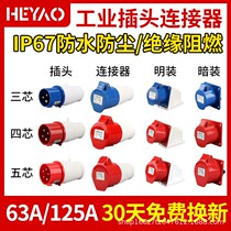 IP67 Industrial Plug Air socket 63125 A connector 3 Core 4 Core 5 three-phase four-wire 380V explosion-proof plug