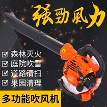 Snow blower wind extinguisher hair dryer blowing snow falling leaves Road high-power portable backpack gasoline machine