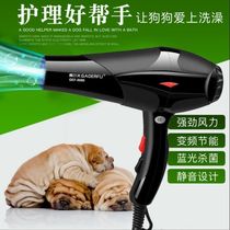 Pet hair dryer high power silent dog hair blowing machine golden hair Teddy cat blowing big and small dog