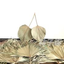 Cupboard flower 16852644 window decoration wedding color reed dry ceremony cattail fan white leaf wedding scene flower arrangement dry cattail leaf