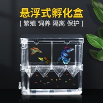 Guppies breeding box fish tank isolation box hatching egg fish incubator goldfish zebrafish independent horizontal seedling a