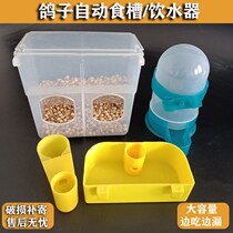 Pigeon trough pigeon supplies utensils anti-sprinkler feeder with lid feeder water tank drinking fountain pigeon trough
