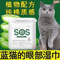 British short blue cat special eye cleaning wipes to wipe eyes and mucus to remove tears and tears pet cat supplies