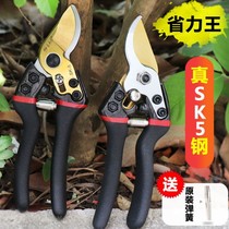 Special scissors for cutting branches lengthened orchard farm special fruit tree scissors Large SK5 steel blade thick branch scissors to pick water