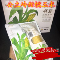 There are grass in the field Jilin Gongzhuling Sweet glutinous corn vacuum packaging fresh corn breakfast yellow corn 12 roots