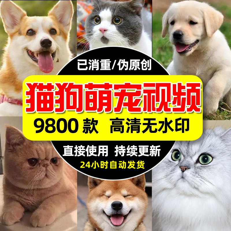 🔥 萌翻你的抖音快手粉丝,高清猫猫狗狗萌宠短视频素材带你火速爆红!🐱🐶 -旅行团-淘宝好物网