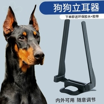 Dubin Liver Shepherd dogs Mound Puppy Puppy ears Auxiliary fixed theorist Depherd puppies erect ears to black wolves