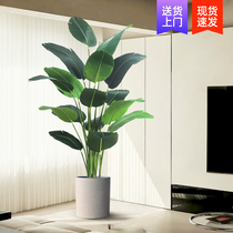 Simulation green plant fake plant light luxury living room decoration tree indoor large potted bird of paradise floor decoration simulation flower